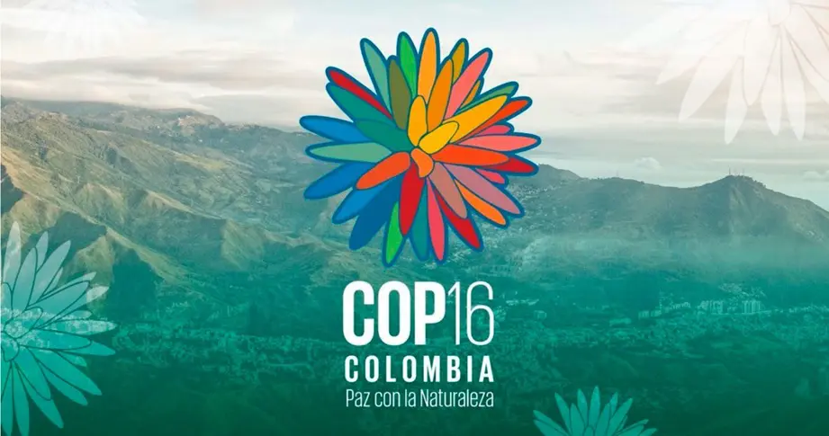 imagen de la cop16
